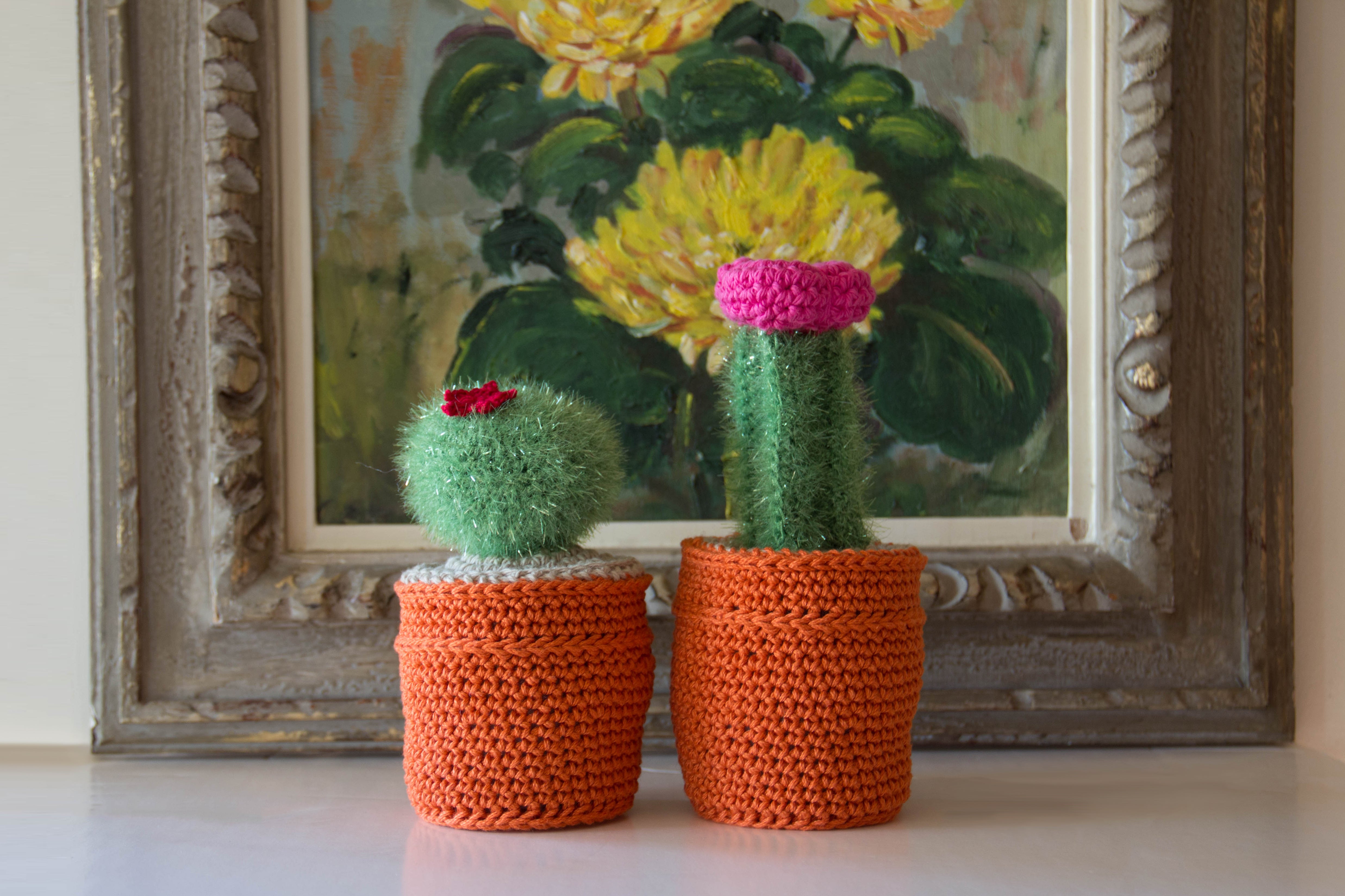 How to Crochet Your Own Amigurumi Cactus with Our Crochet Kits