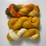 Yarn Fade Set in Coppertone - DK Light Worsted Merino