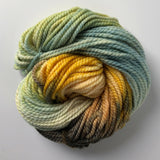 Fall Forest Bulky-weight chunky yarn - Hand-dyed 100% merino