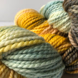 "Fall Forest" Bulky-weight Chunky Yarn - Hand-dyed 100% merino wool
