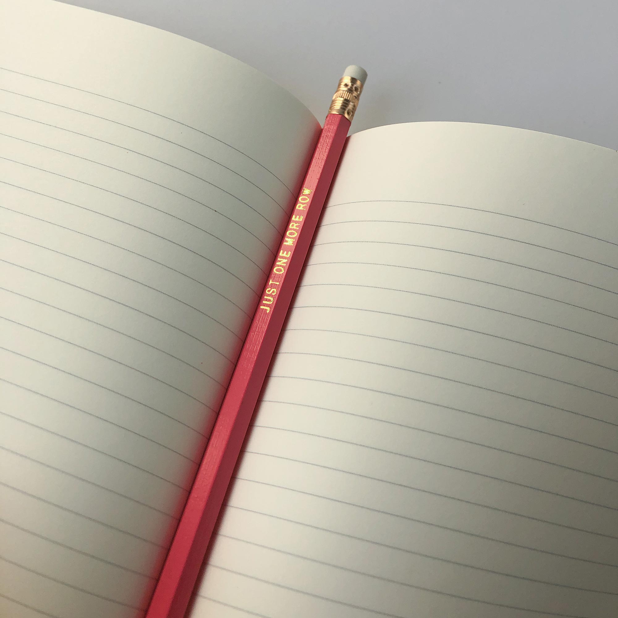 small lined journal that fits in your bag or purse